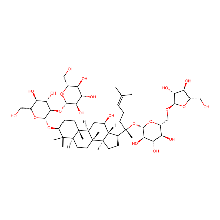 分子式图片