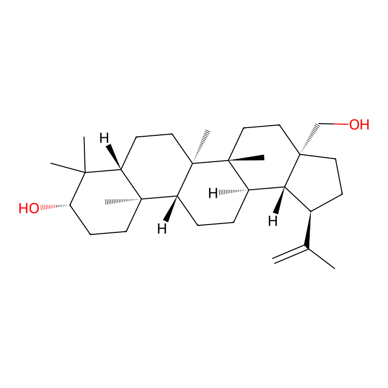 分子式图片