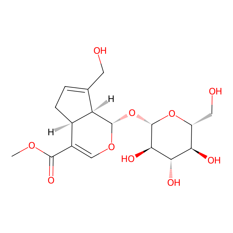 分子式图片
