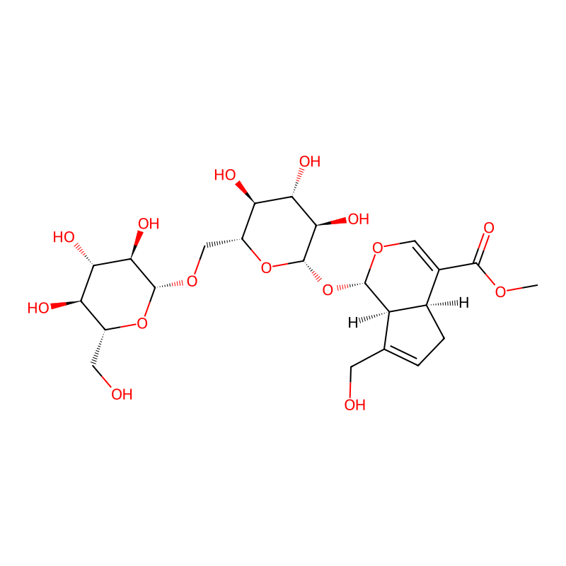 分子式图片