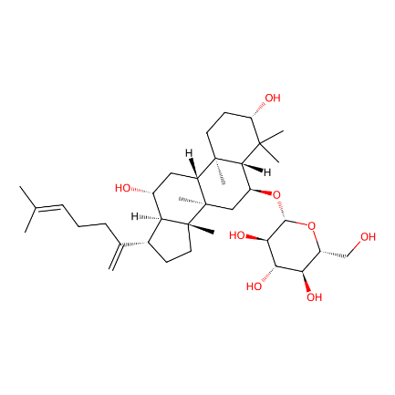 分子式图片