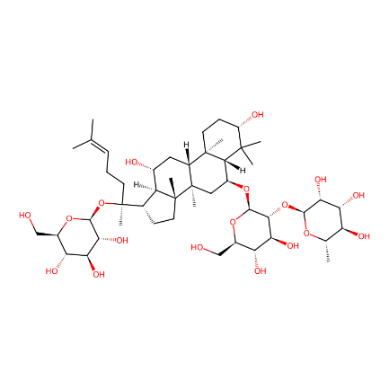 分子式图片