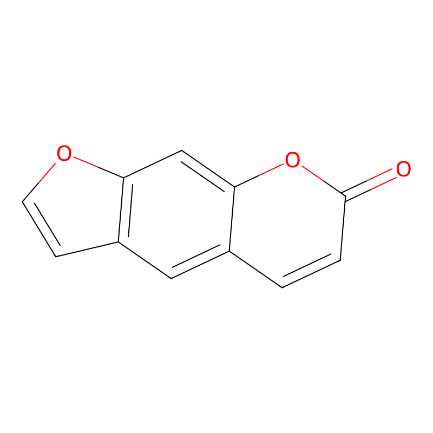 分子式图片