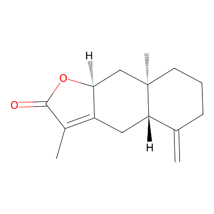 分子式图片